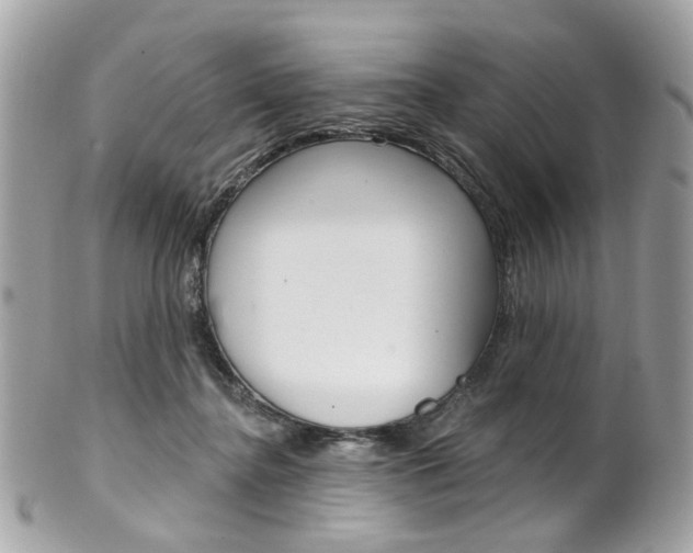 X0000101420364200807071037