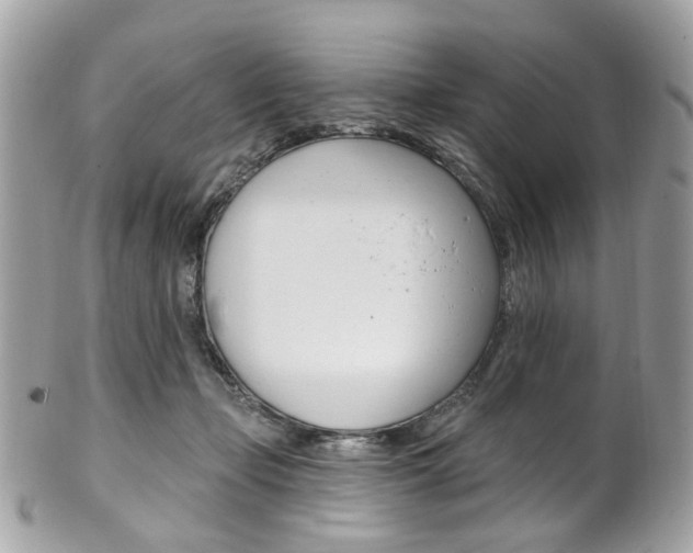 X0000101420365200807071037