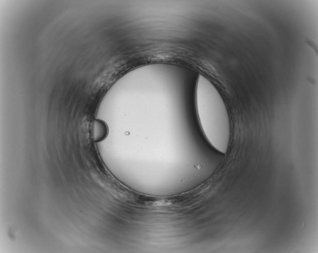 X0000101420366200807071037