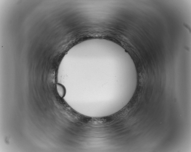 X0000101420368200807071037