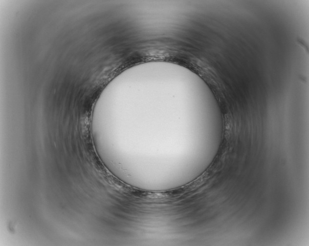X0000101420369200807071037