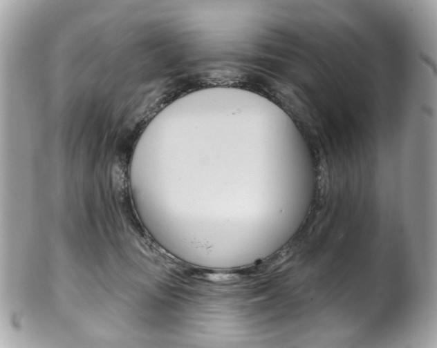 X0000101420371200807071037