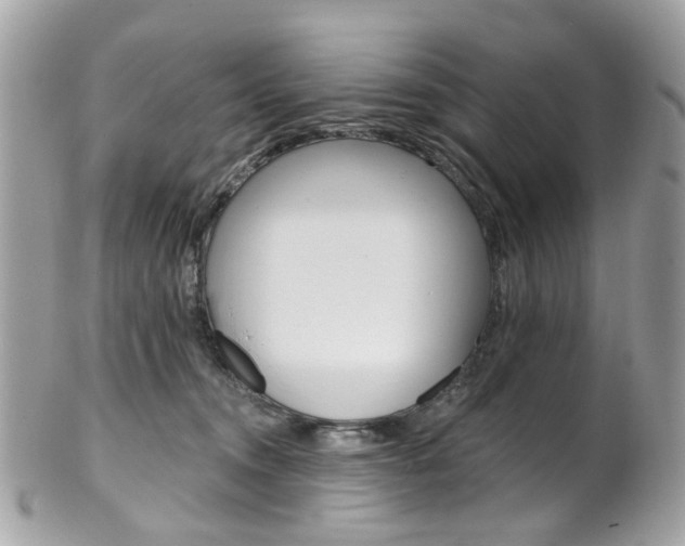 X0000101420372200807071037