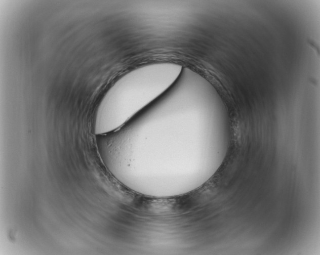 X0000101420373200807071037