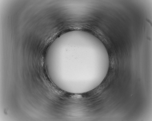 X0000101420374200807071037