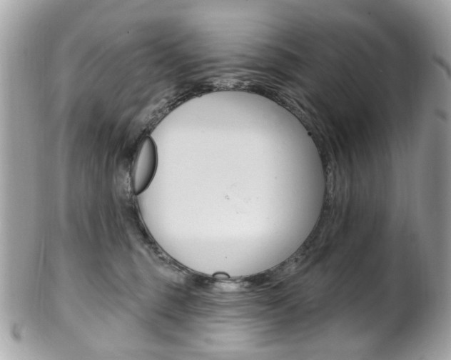 X0000101420375200807071037