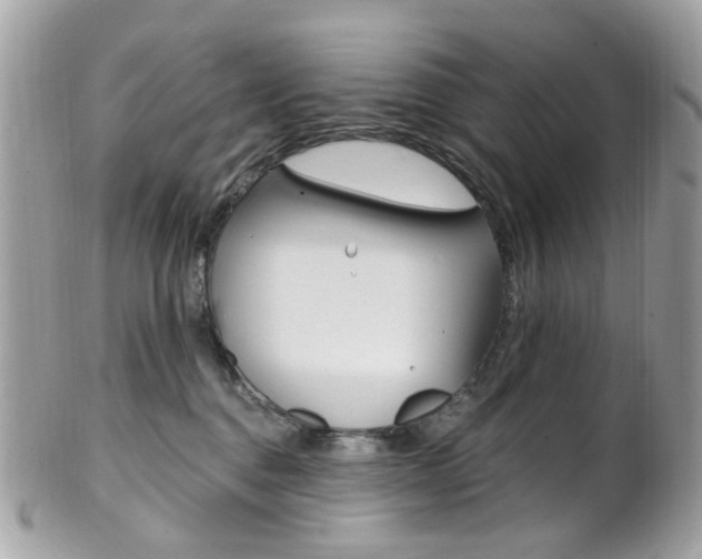 X0000101420376200807071037
