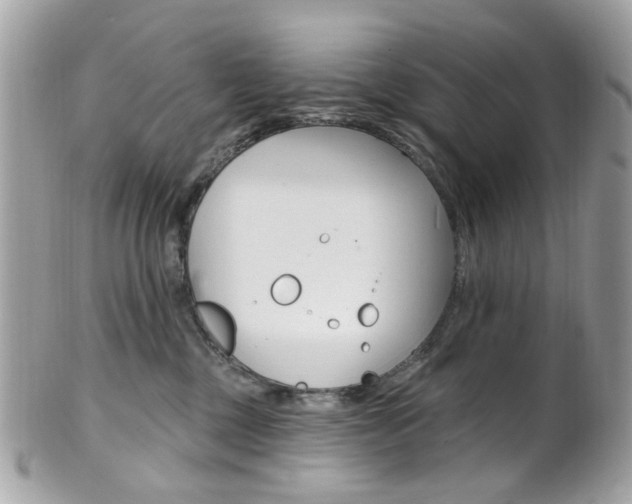 X0000101420377200807071037