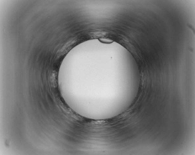 X0000101420378200807071037