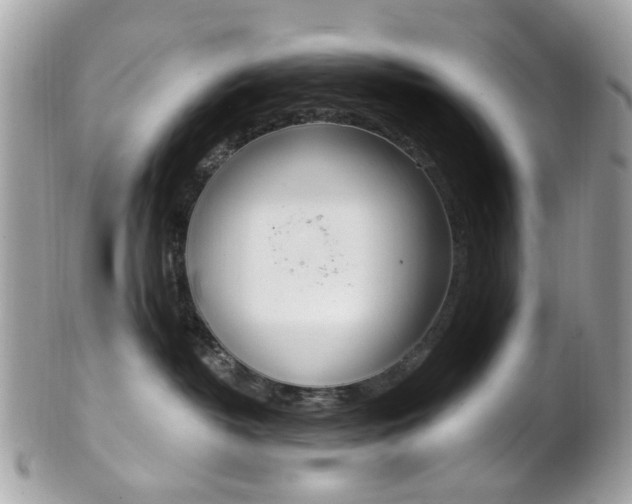 X0000101420382200807071037