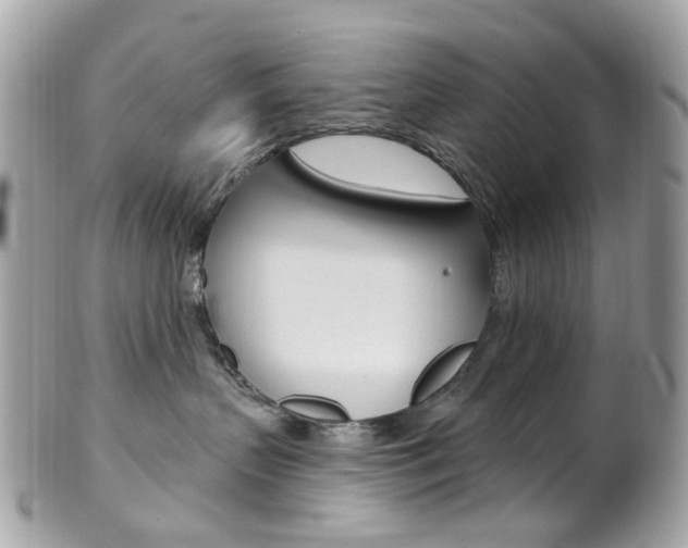 X0000101420383200807071037