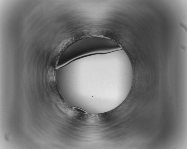 X0000101420384200807071037
