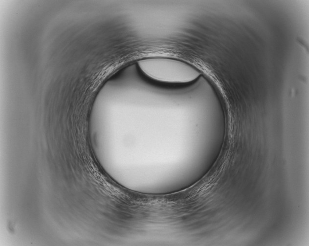 X0000101420385200807071036
