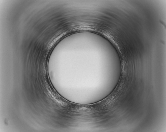 X0000101420390200807071036