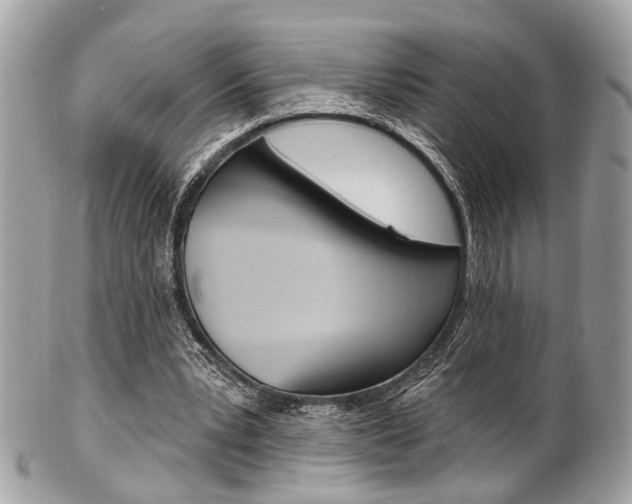 X0000101420391200807071036