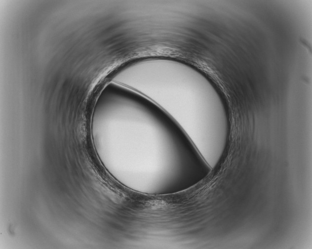 X0000101420392200807071036