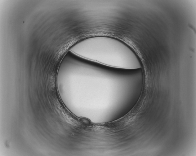 X0000101420393200807071036