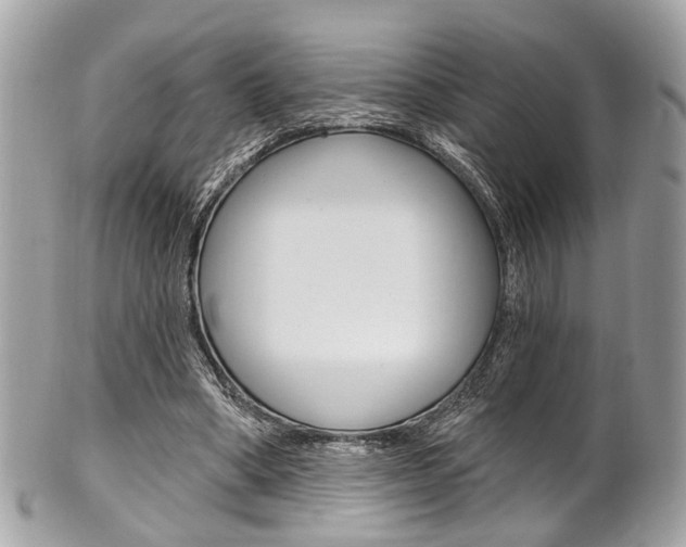 X0000101420394200807071036