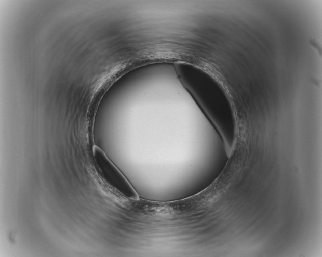 X0000101420395200807071036