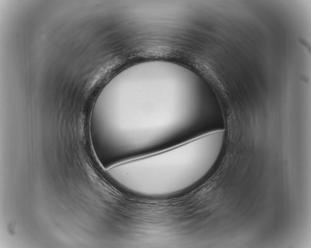 X0000101420396200807071036