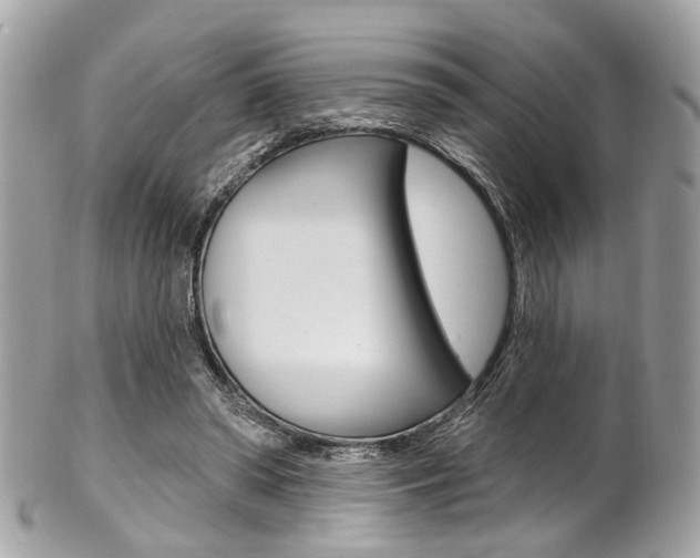 X0000101420398200807071036