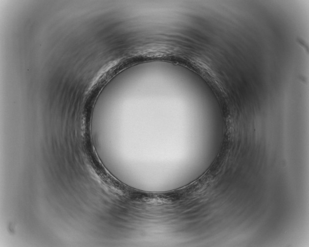 X0000101420400200807071036