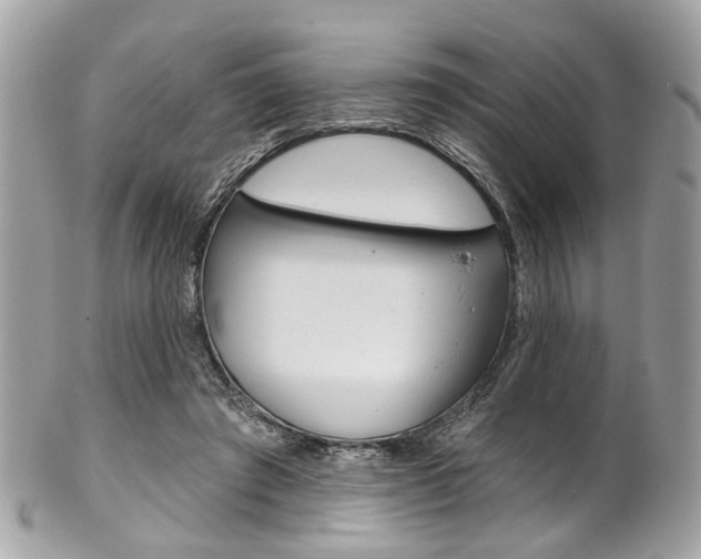 X0000101420401200807071036