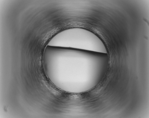 X0000101420402200807071036