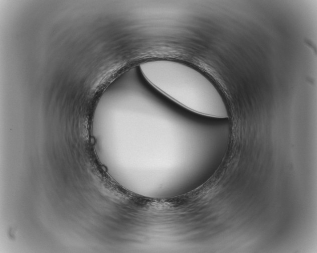 X0000101420403200807071036