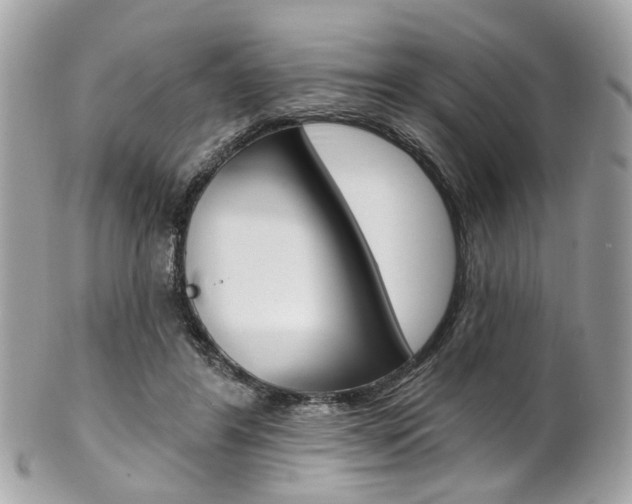 X0000101420404200807071036