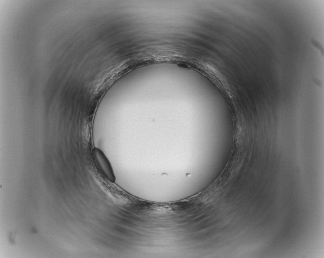 X0000101420405200807071036