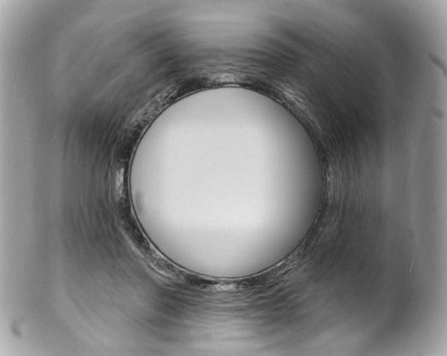 X0000101420406200807071036