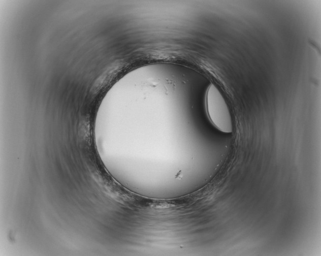 X0000101420407200807071036