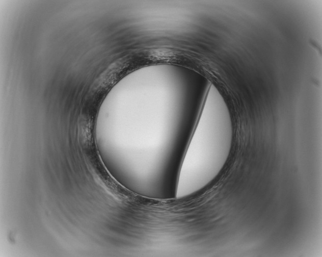 X0000101420408200807071036