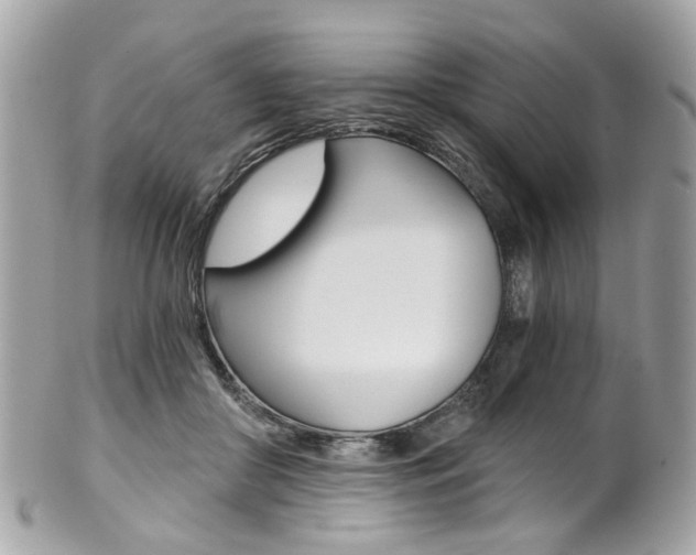 X0000101420410200807071036