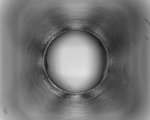 X0000101420411200807071036