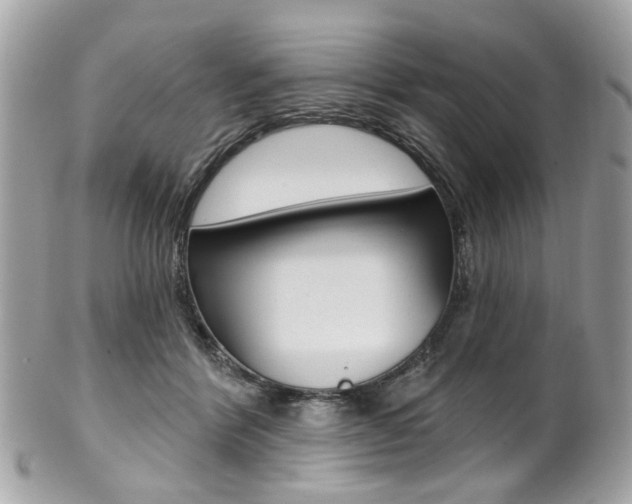 X0000101420412200807071036