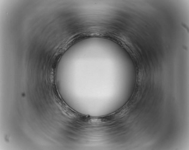 X0000101420413200807071036