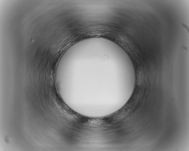 X0000101420414200807071036