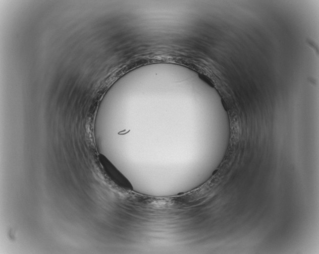 X0000101420415200807071035
