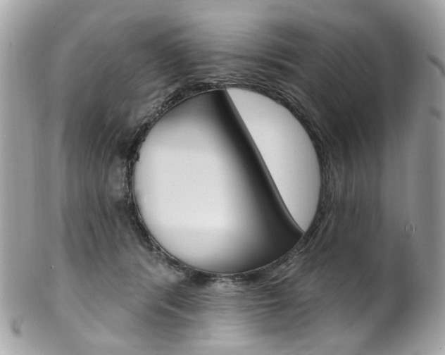 X0000101420416200807071035