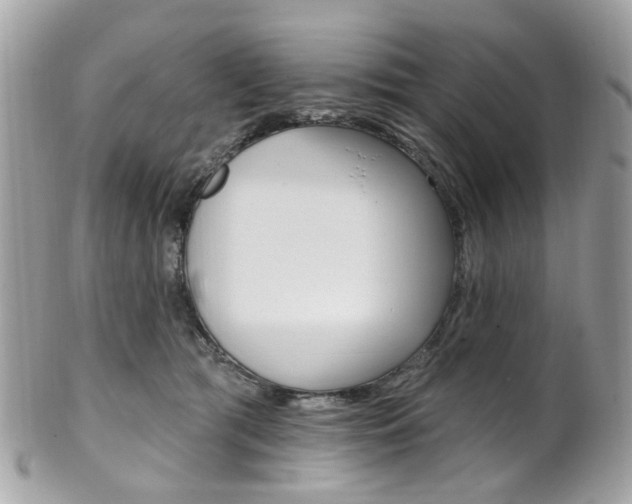 X0000101420417200807071035