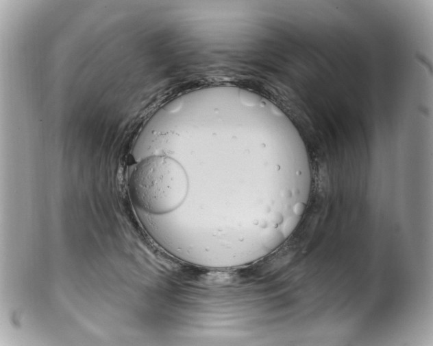 X0000101420418200807071035