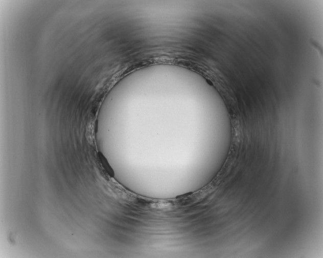 X0000101420419200807071035