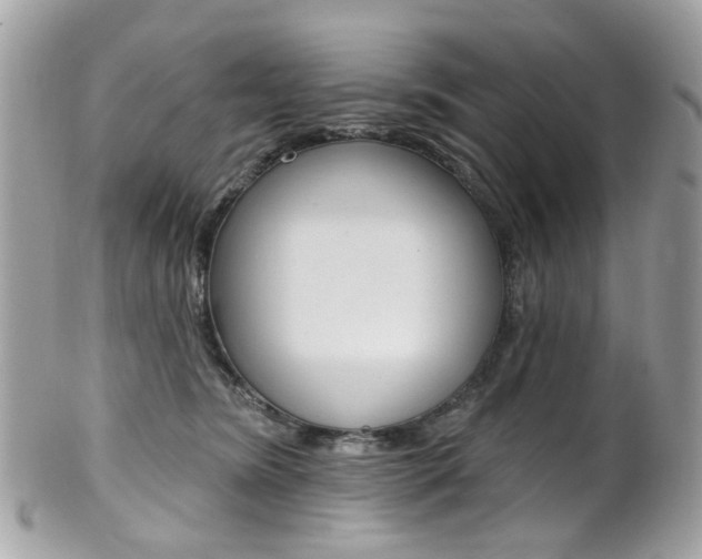 X0000101420420200807071035