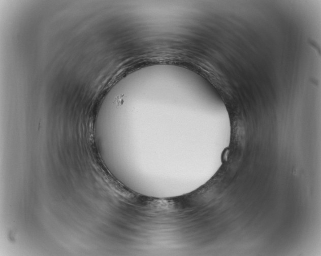 X0000101420421200807071035