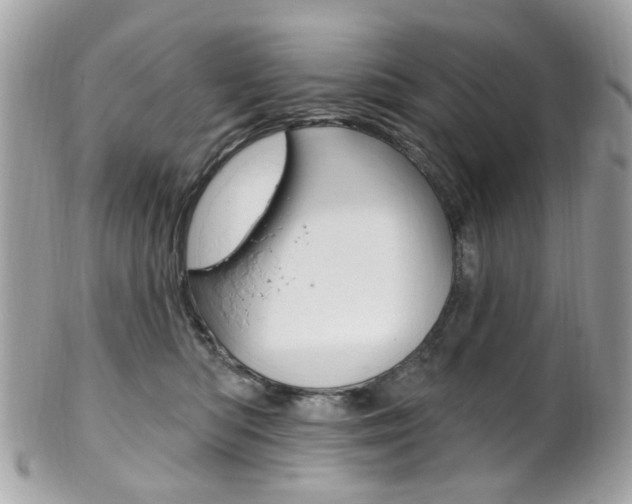 X0000101420422200807071035