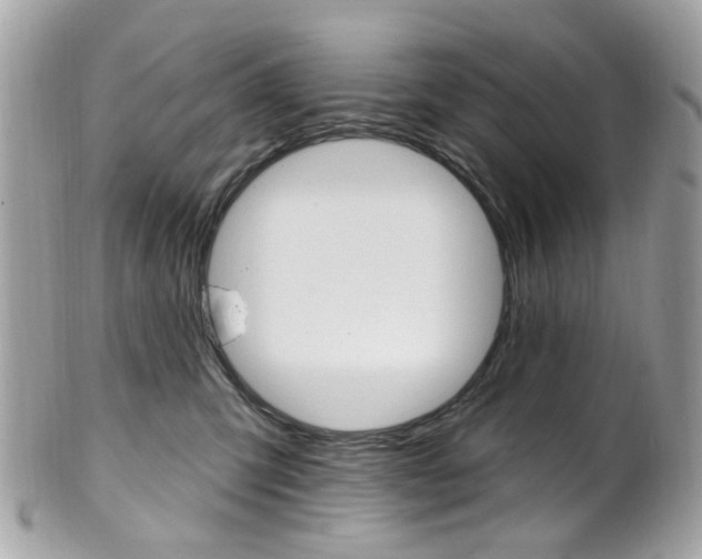 X0000101420423200807071035