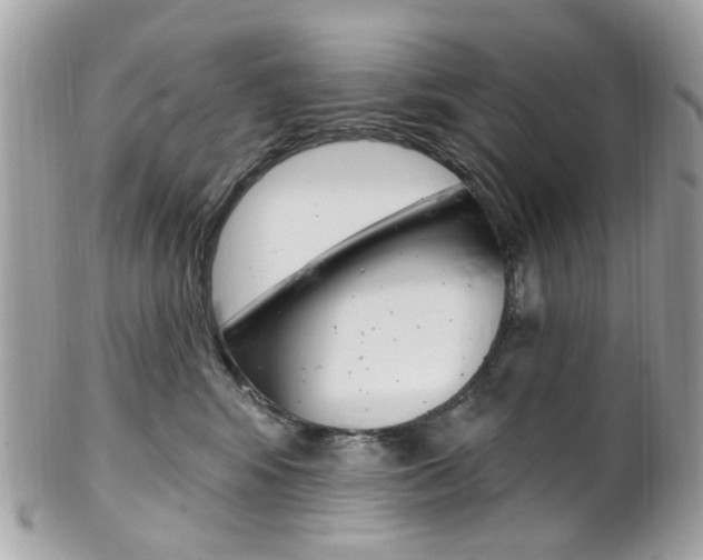 X0000101420424200807071035