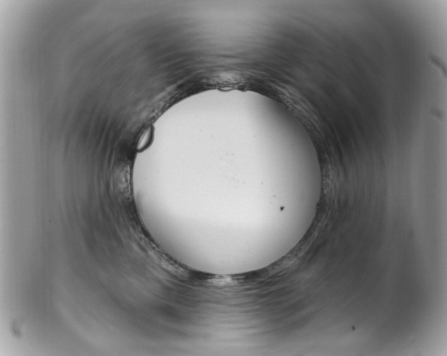 X0000101420425200807071035